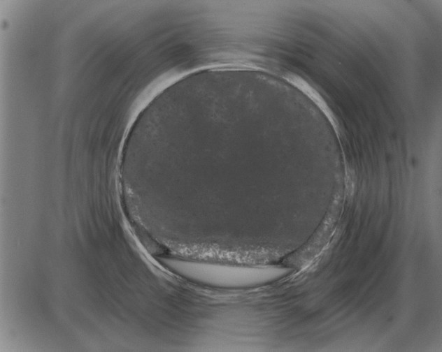 X0000085041485200703261259