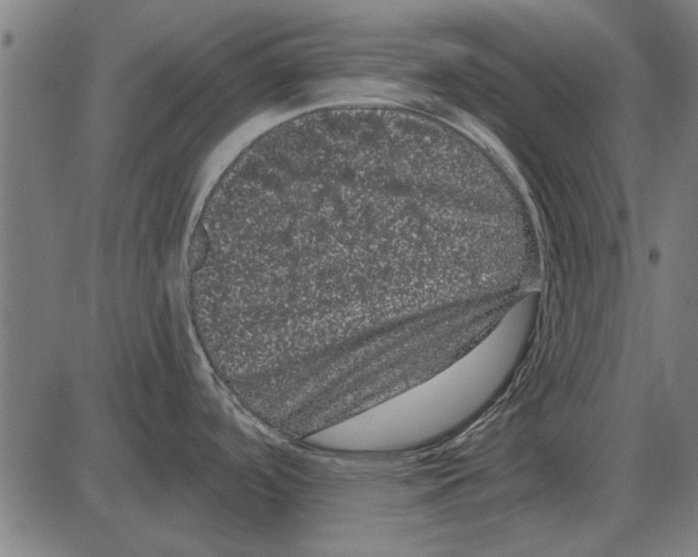 X0000085041488200703261259