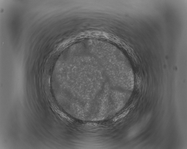 X0000085041489200703261258