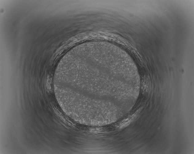 X0000085041490200703261258