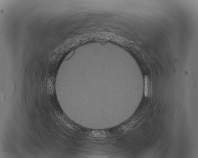 X0000085041491200703261258