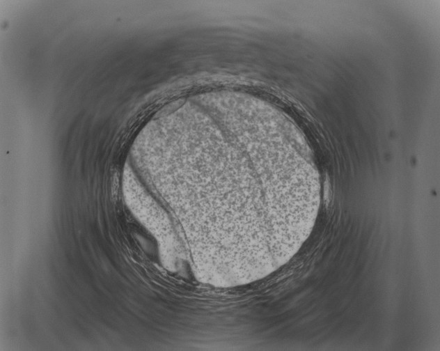 X0000085041492200703261258