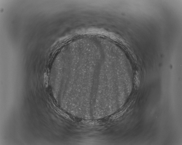 X0000085041493200703261258