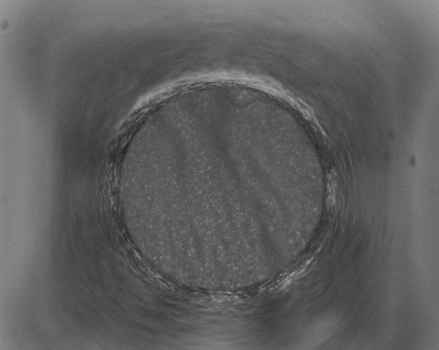 X0000085041494200703261258