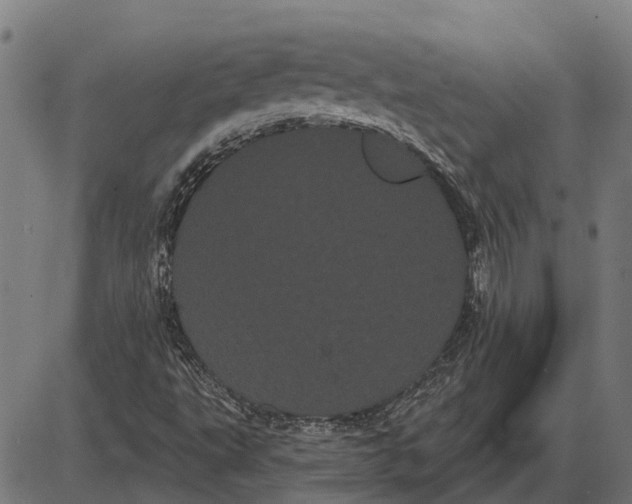 X0000085041495200703261258