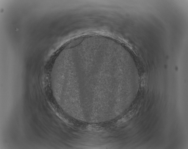 X0000085041496200703261258