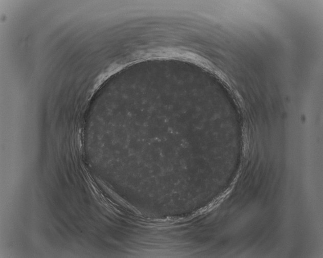 X0000085041497200703261258