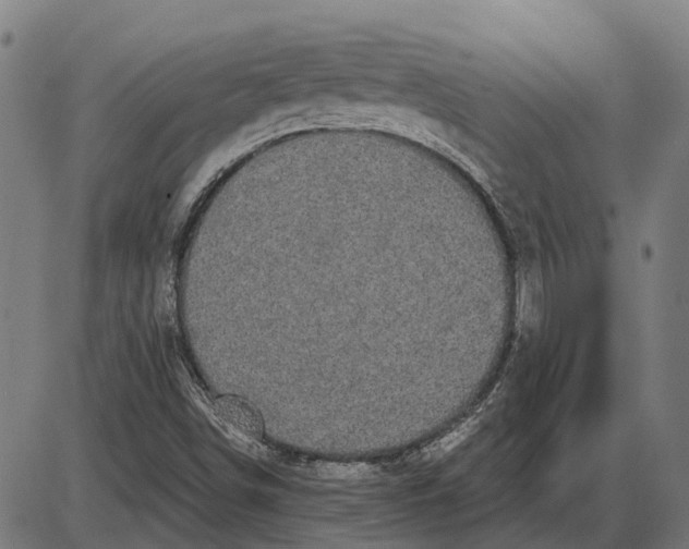 X0000085041498200703261258