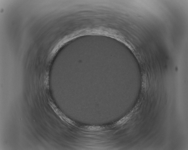 X0000085041499200703261258