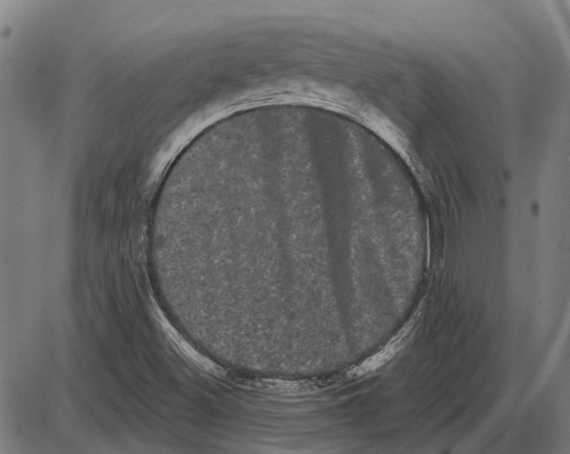 X0000085041500200703261258