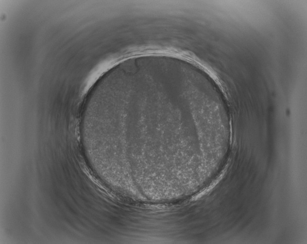 X0000085041501200703261258