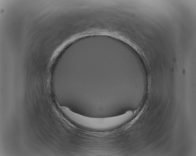 X0000085041502200703261258