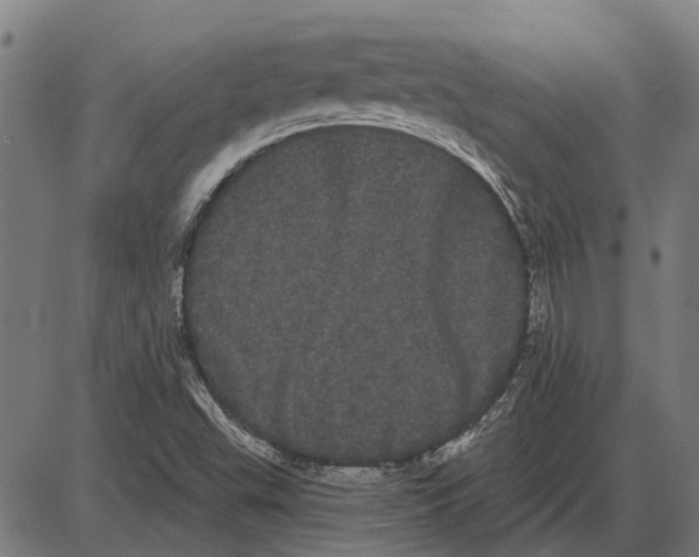 X0000085041503200703261258