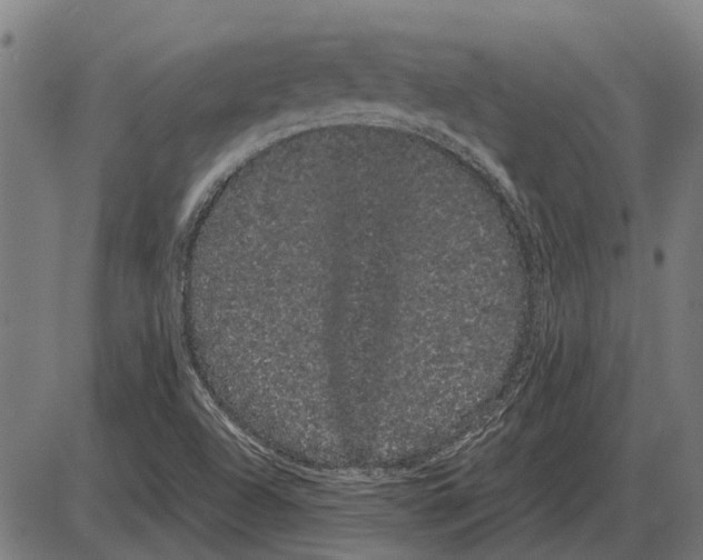 X0000085041504200703261258