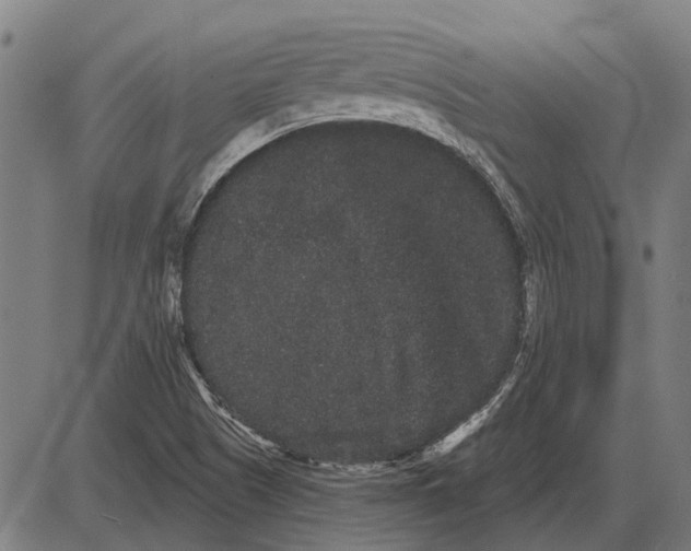 X0000085041505200703261258