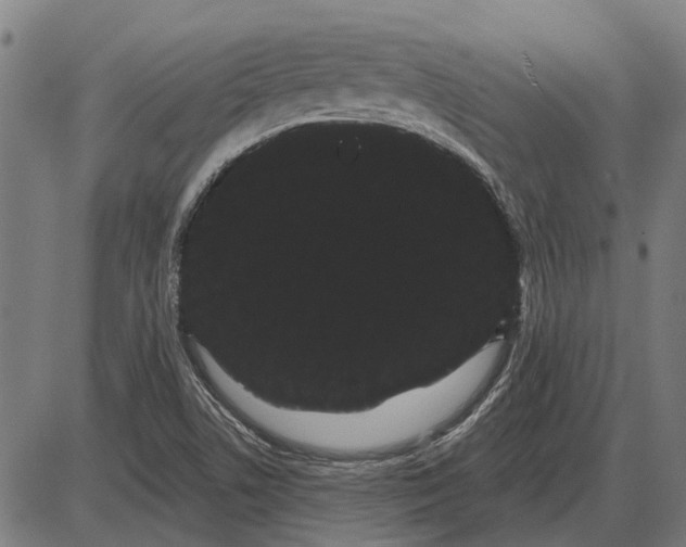 X0000085041506200703261258