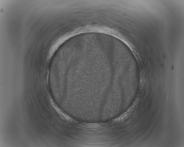 X0000085041507200703261258