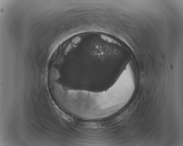 X0000085041508200703261258