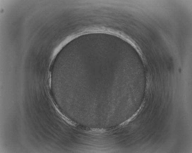 X0000085041509200703261258