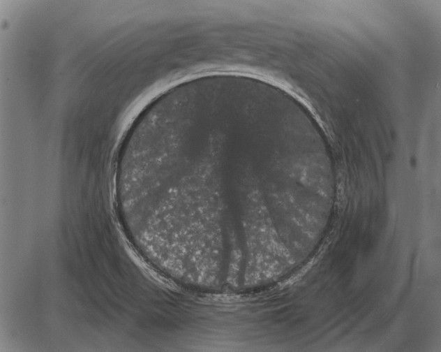 X0000085041511200703261258