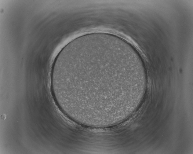 X0000085041512200703261258