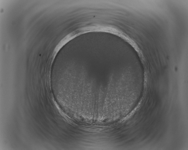 X0000085041513200703261258