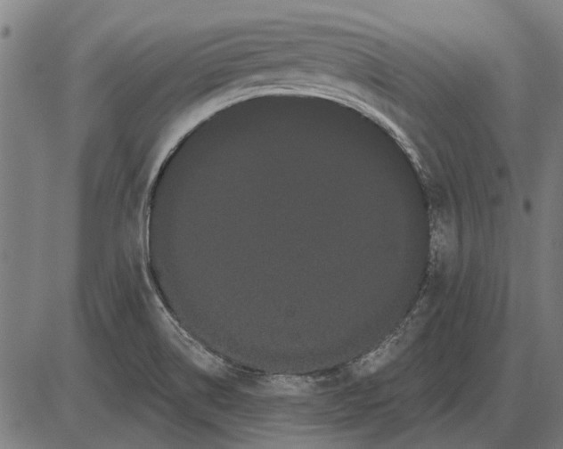 X0000085041514200703261258