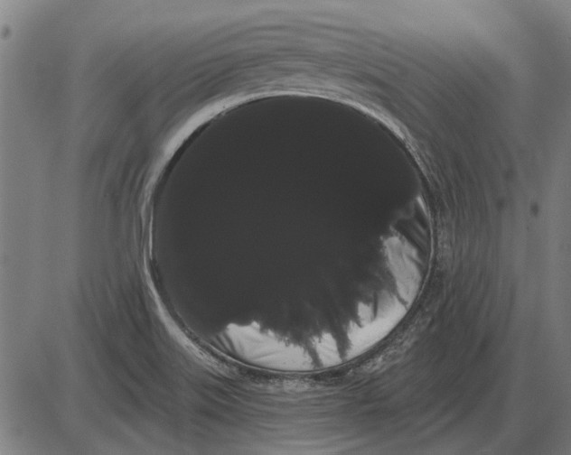 X0000085041515200703261258