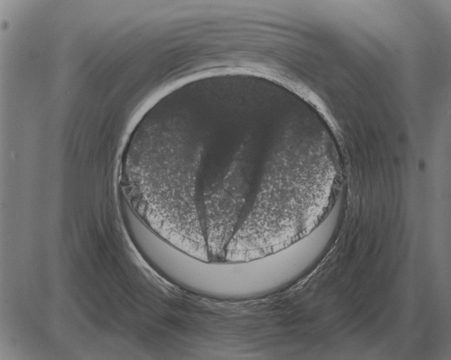 X0000085041516200703261258