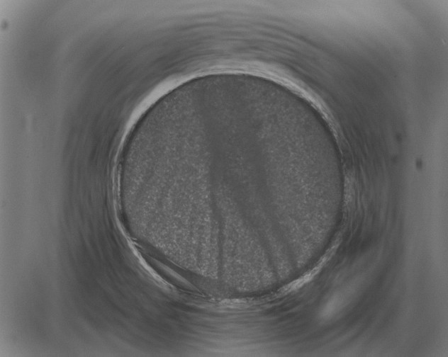 X0000085041517200703261258