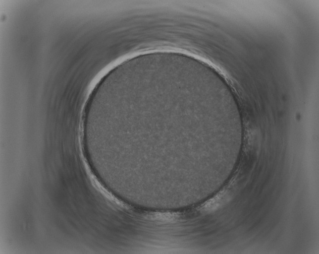 X0000085041518200703261259