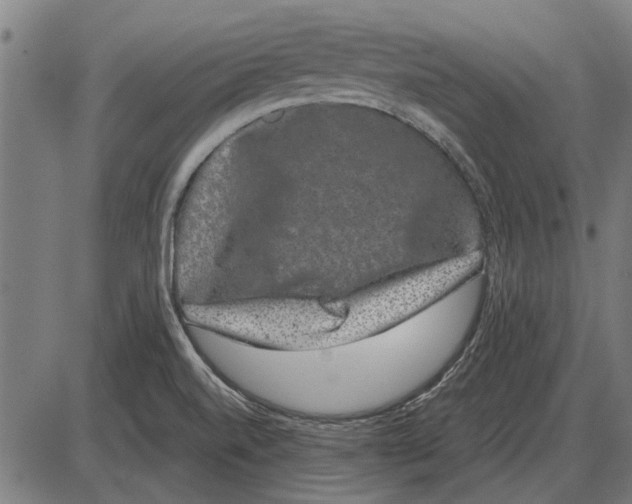 X0000085041520200703261259