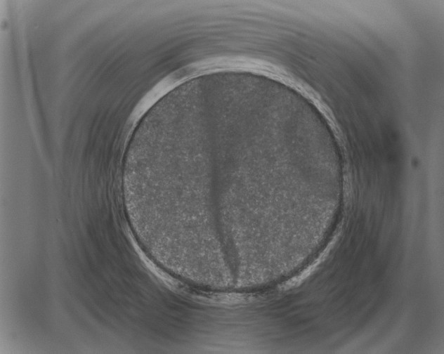 X0000085041521200703261259