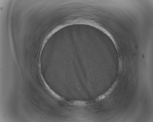 X0000085041525200703261259