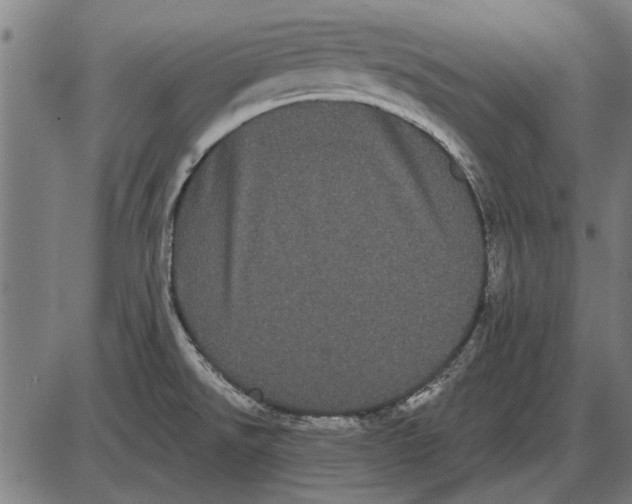 X0000085041526200703261259