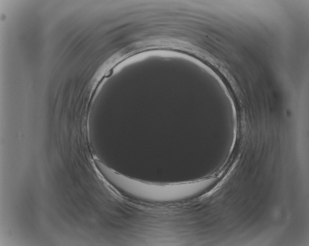 X0000085041529200703261259