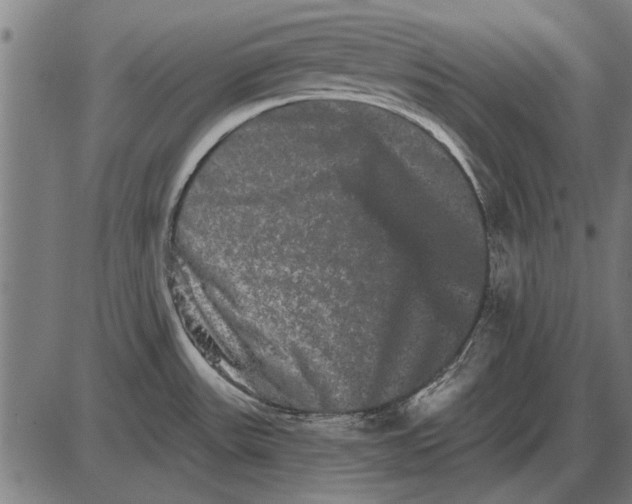 X0000085041531200703261259