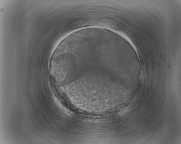 X0000085041532200703261259