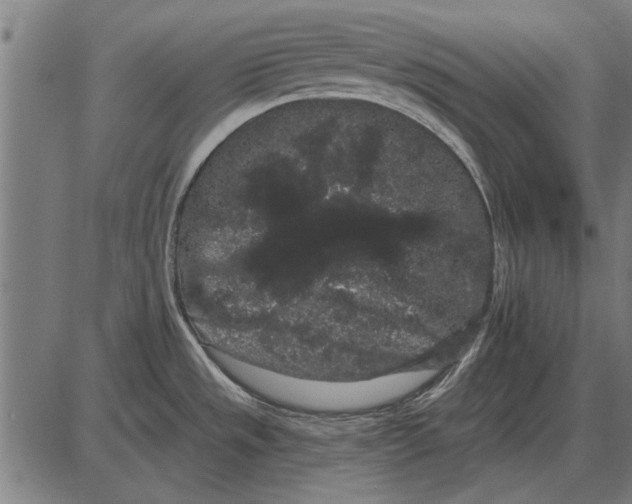 X0000085041533200703261259