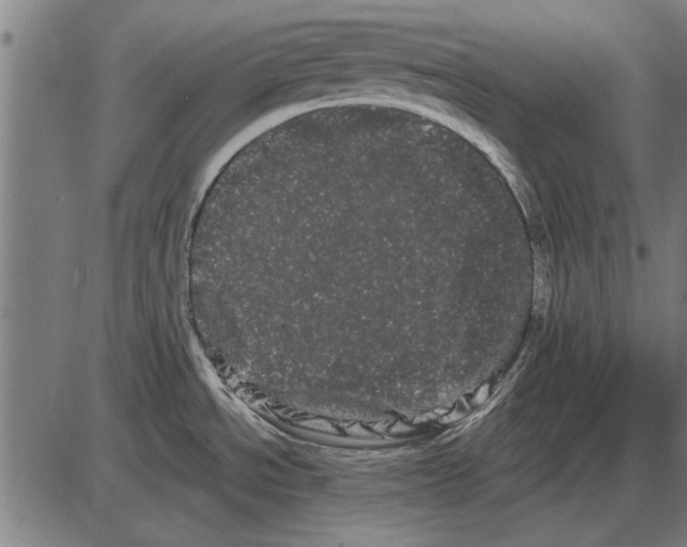 X0000085041534200703261259