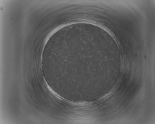 X0000085041535200703261259