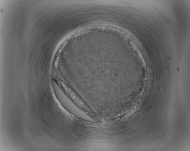 X0000085041536200703261259