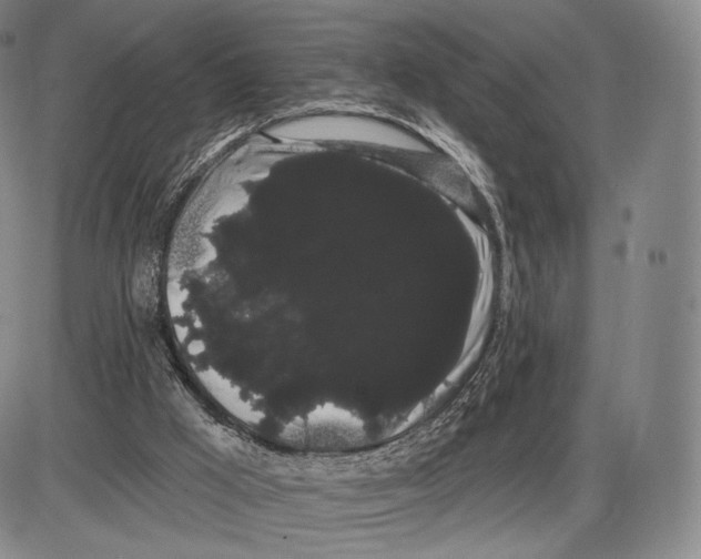 X0000085040009200704021305