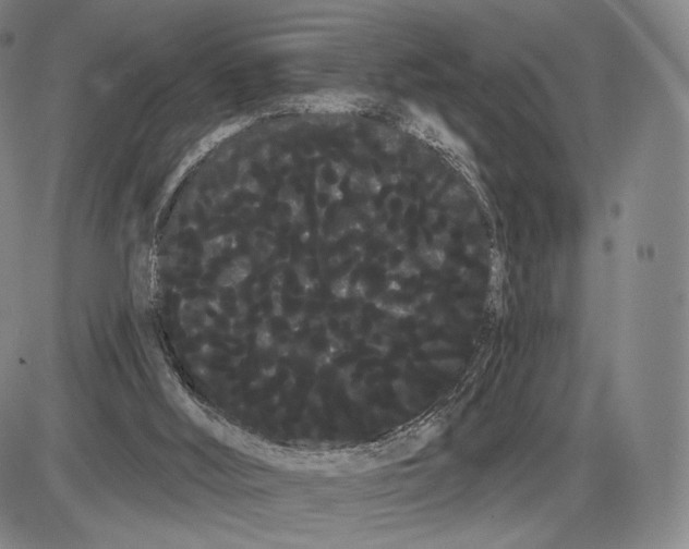 X0000085040012200704021305