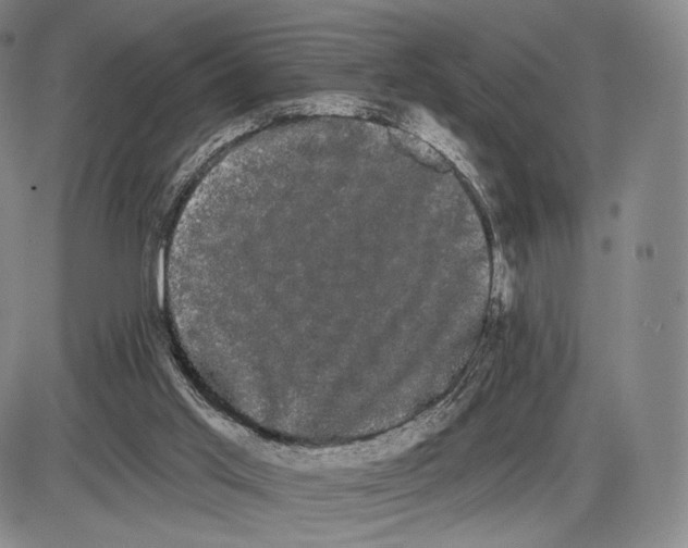 X0000085040013200704021305