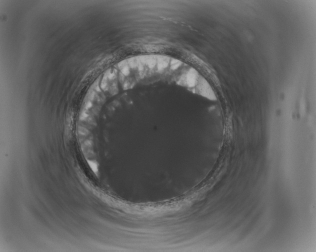 X0000085040018200704021305