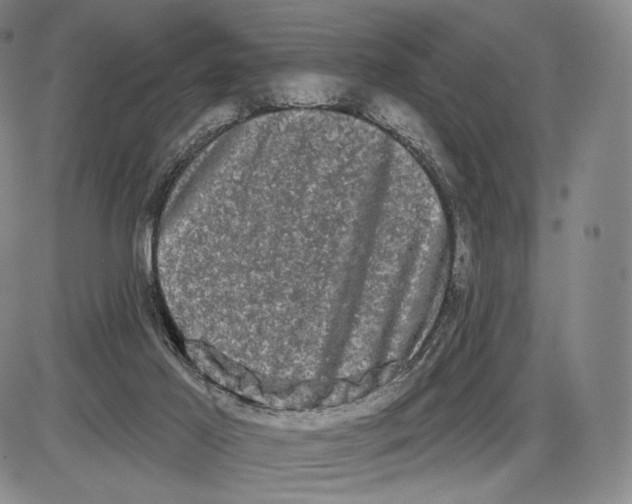 X0000085040021200704021305
