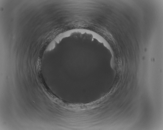 X0000085040029200704021305