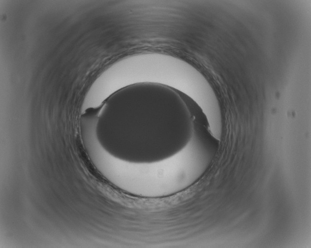 X0000085040031200704021305