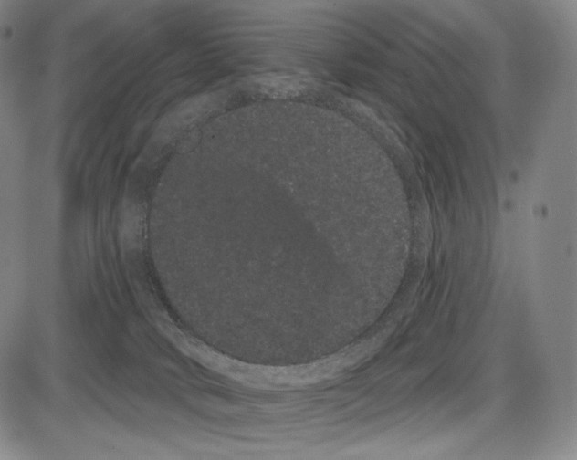 X0000085040034200704021305